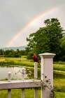USA, Vermont, Addison County. Pond with rainbow, white gate and carved cardinal, Green Mountains. Art Print